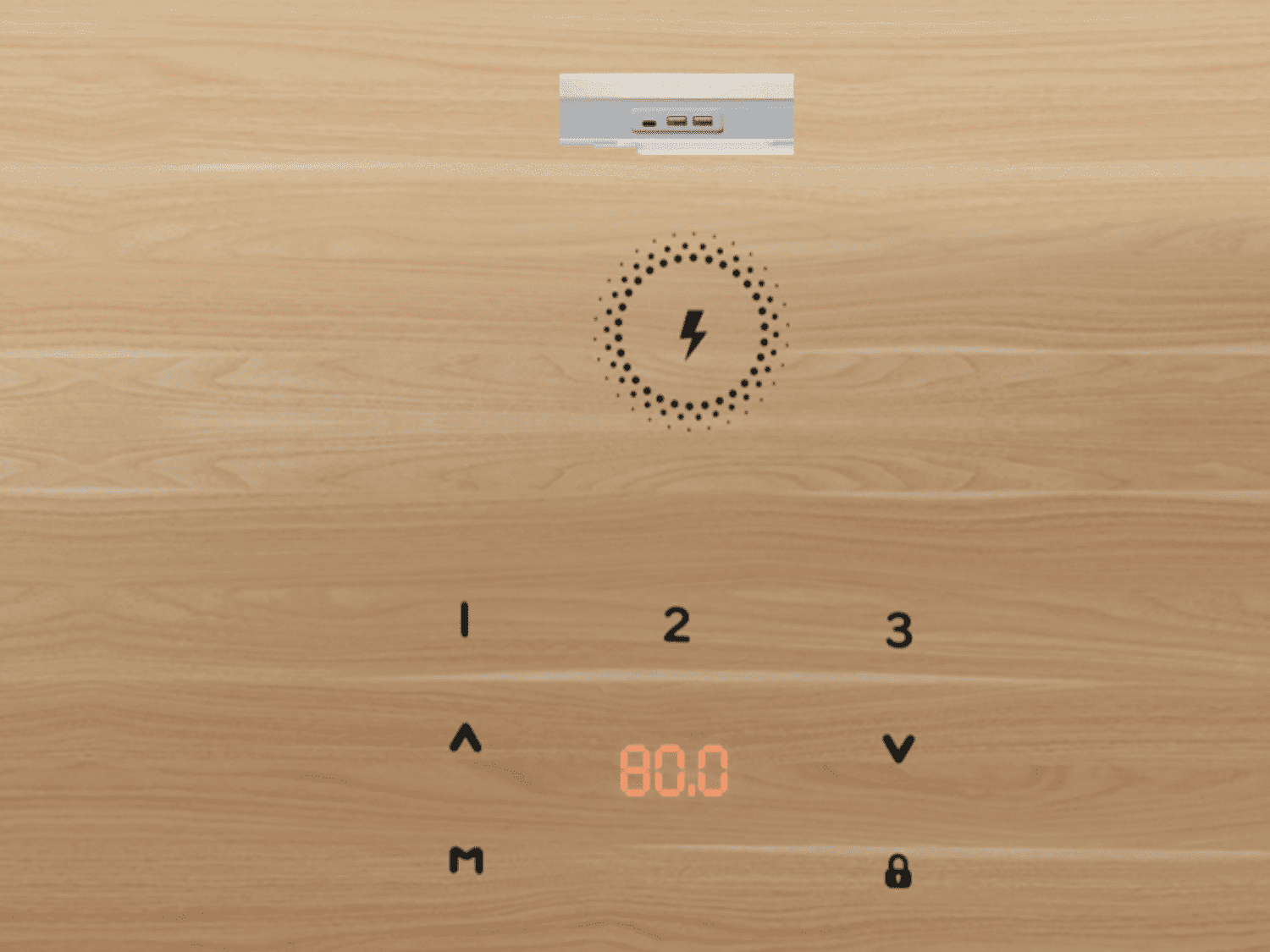 Integrated Control Box | Dual Motor